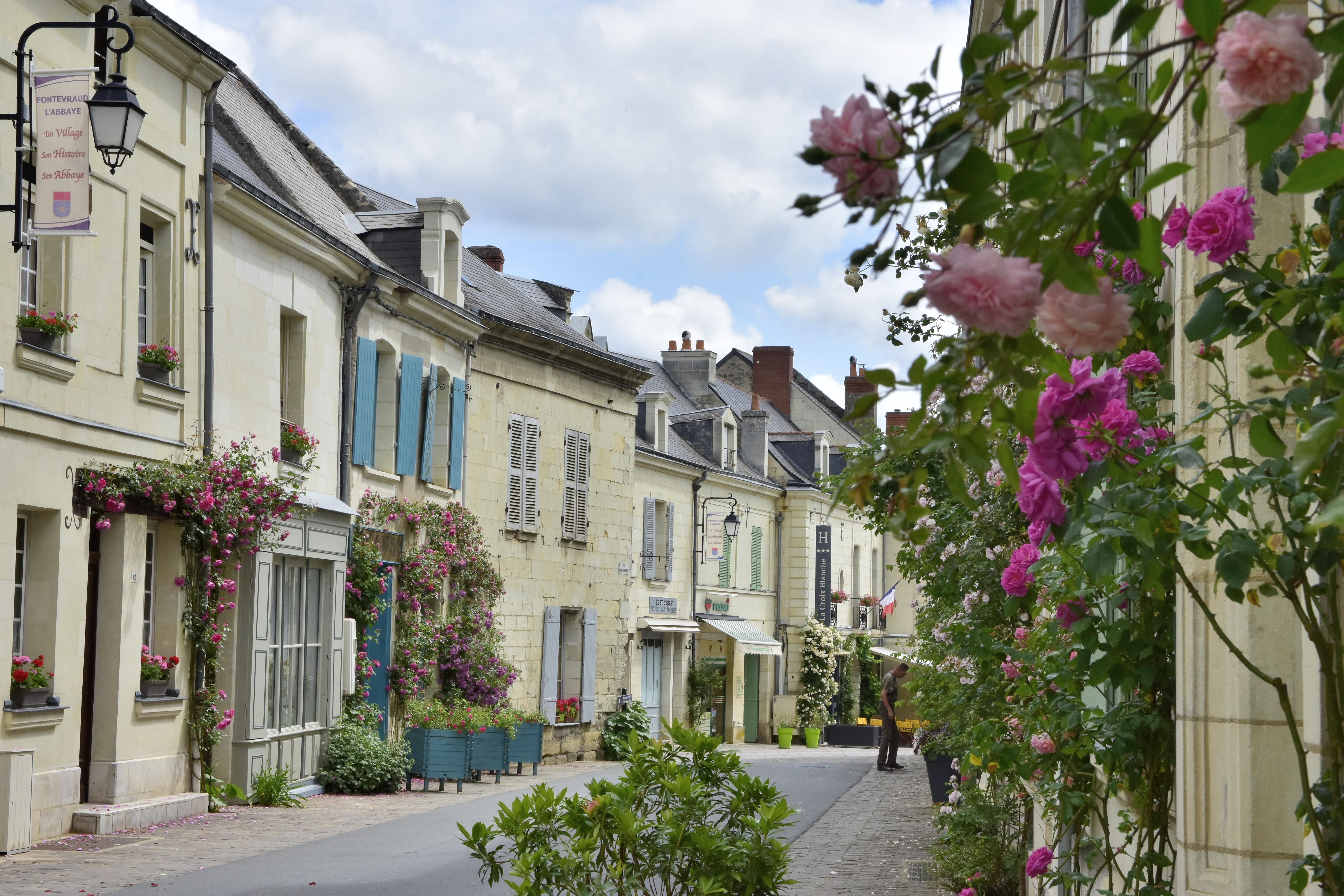 Logis Hotel La Croix Blanche Fontevraud Bagian luar foto